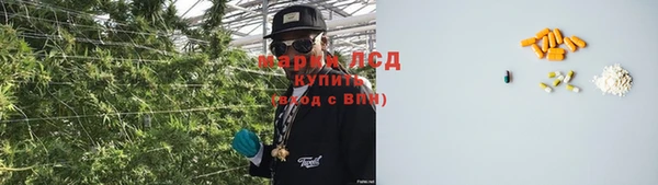 спиды Аркадак