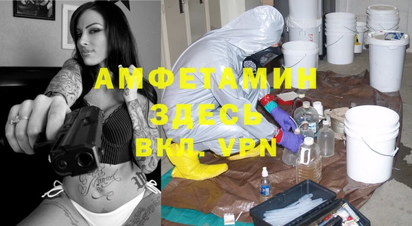 твердый Арсеньев
